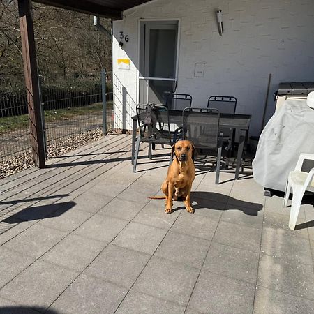 Ferienhaus Stausee Bitburg Biersdorf Eksteriør billede