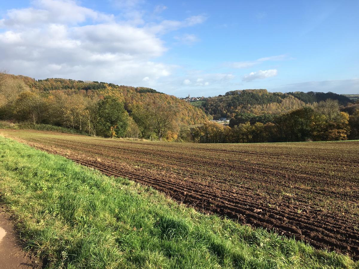 Ferienhaus Stausee Bitburg Biersdorf Eksteriør billede